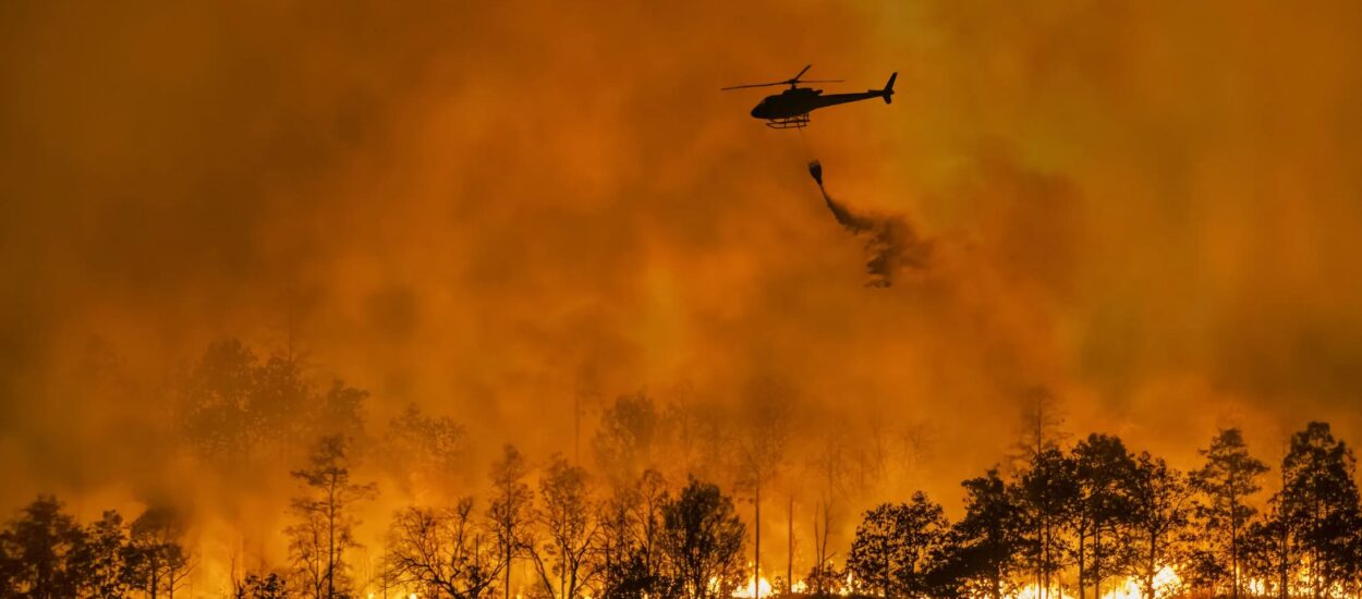 SONY HACE UNA GENEROSA DONACIÓN PARA LAS ACTIVIDADES DE AYUDA POR LOS INCENDIOS EN LOS ÁNGELES