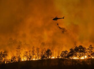 SONY HACE UNA GENEROSA DONACIÓN PARA LAS ACTIVIDADES DE AYUDA POR LOS INCENDIOS EN LOS ÁNGELES