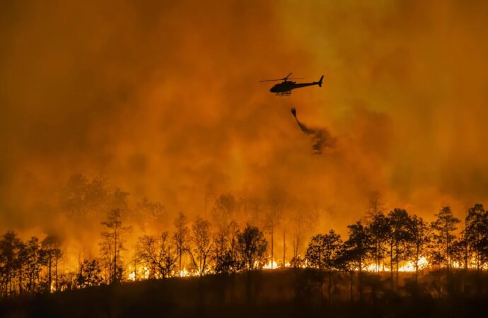 SONY HACE UNA GENEROSA DONACIÓN PARA LAS ACTIVIDADES DE AYUDA POR LOS INCENDIOS EN LOS ÁNGELES