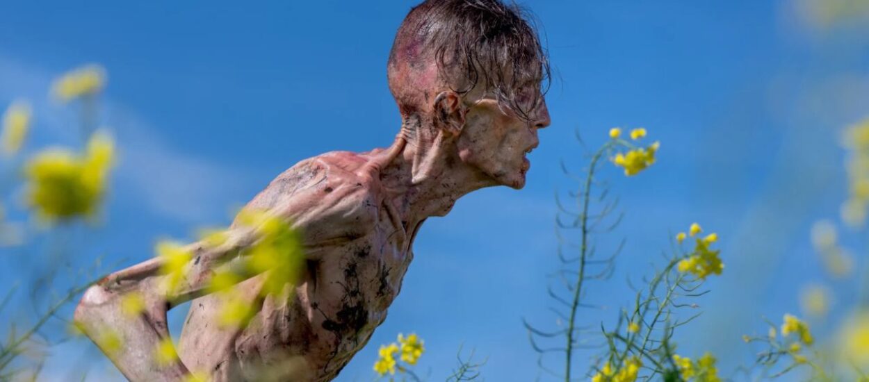 DE FORMA SORPRESIVA SE ANUNCIA UN PANEL DE EXTERMINIO: LA EVOLUCIÓN EN CCXPMX