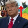 TRUMP ANUNCIA ARANCEL DEL 100% A PELÍCULAS EXTRANJERAS POR “AMENAZA A LA SEGURIDAD NACIONAL”