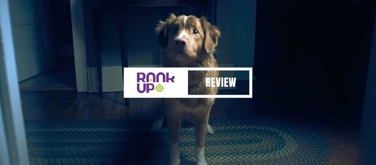 GOOD BOY: EL TERROR VISTO DESDE LOS OJOS DE UN PERRO