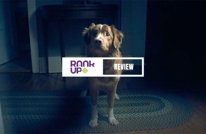 GOOD BOY: EL TERROR VISTO DESDE LOS OJOS DE UN PERRO