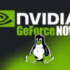 GEFORCE NOW LLEGA A LINUX CON APP NATIVA Y RENDIMIENTO RTX DESDE LA NUBE
